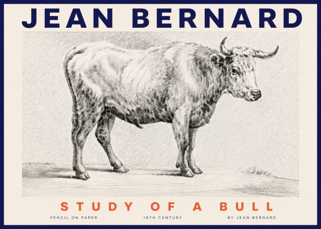 Jean Bernard Study of a Bull IV No4 - Poszter