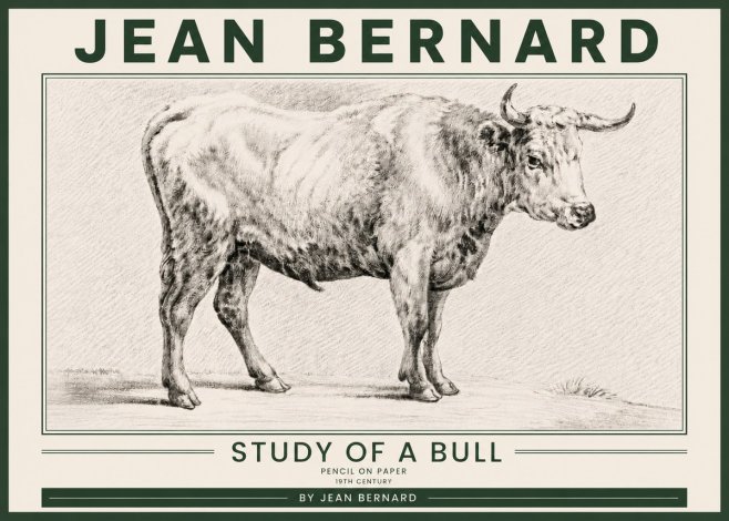 Jean Bernard Study of a Bull IV No5 - Poszter