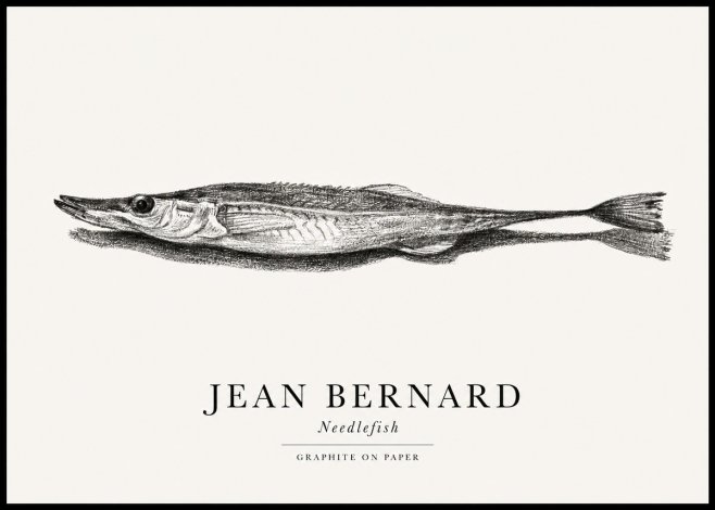 Jean Bernard Needlefish No1 - Poszter
