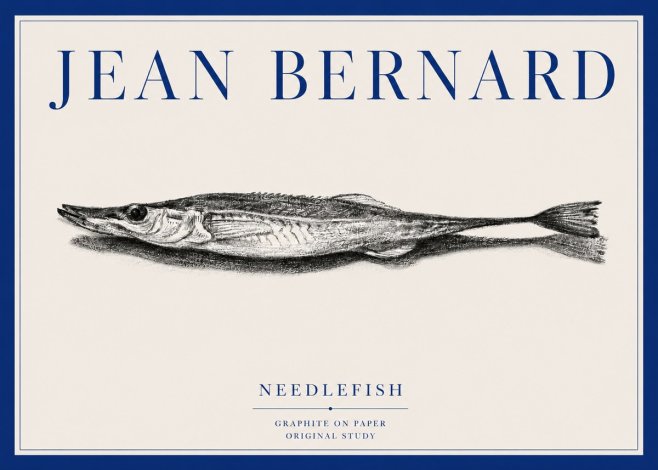 Jean Bernard Needlefish No3 - Poszter