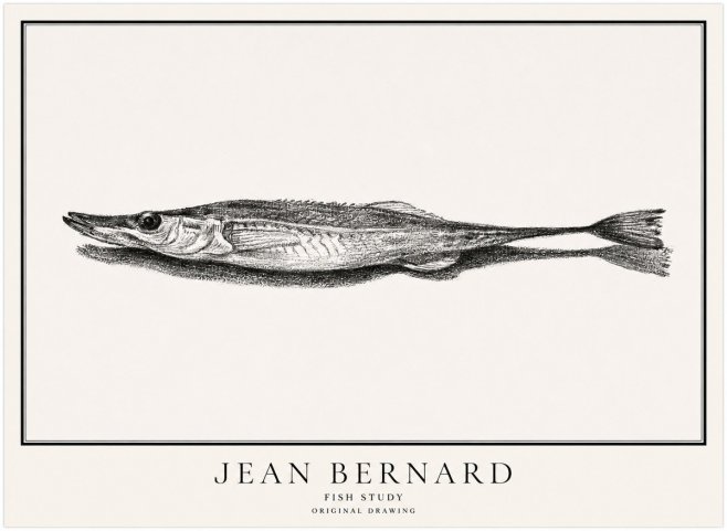 Jean Bernard Needlefish No5 - Poszter