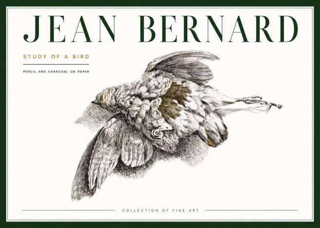 Jean Bernard Study of a Bird III No4 - Poszter