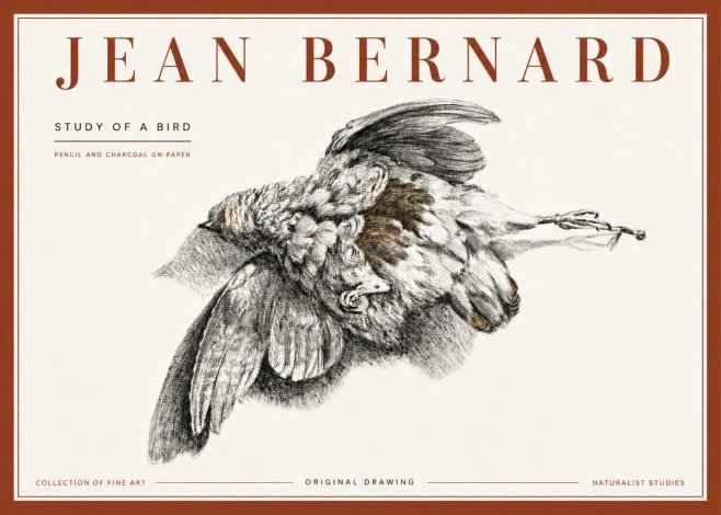 Jean Bernard Study of a Bird III No6 - Poszter