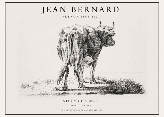 Jean Bernard Study of a Bull V No1 - Poszter