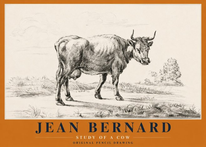 Jean Bernard Study of a Cow XII No2 - Poszter
