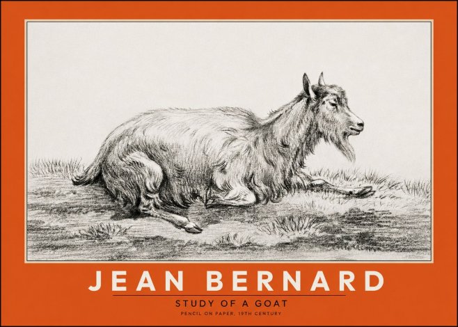 Jean Bernard Study of a Goat V No2 - Poszter