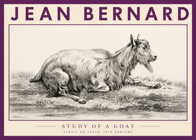 Jean Bernard Study of a Goat V No3 - Poszter