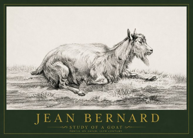 Jean Bernard Study of a Goat V No4 - Poszter