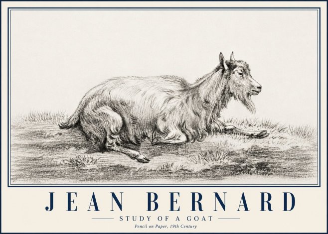 Jean Bernard Study of a Goat V No5 - Poszter