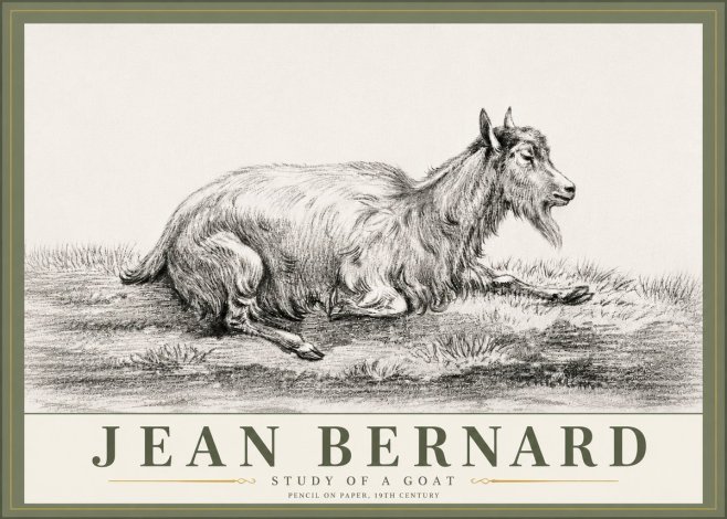 Jean Bernard Study of a Goat V No6 - Poszter