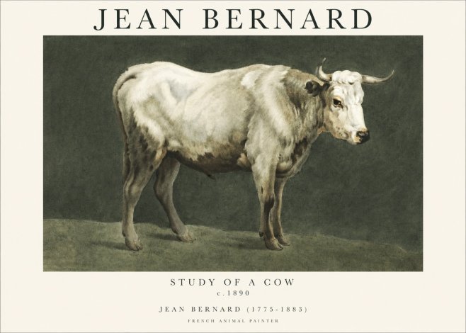 Jean Bernard Study of a Cow C. 1890 No1 - Poszter