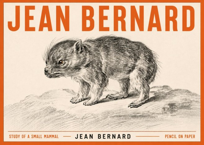 Jean Bernard Study of a Small Mammal No3 - Poszter