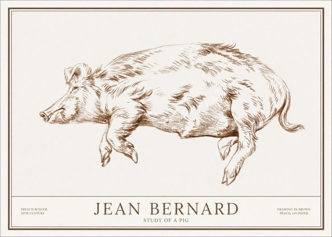 Jean Bernard Study of a Pig II No1 - Poszter