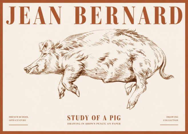 Jean Bernard Study of a Pig II No4 - Poszter