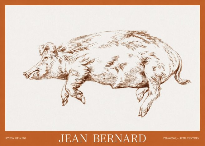 Jean Bernard Study of a Pig II No6 - Poszter