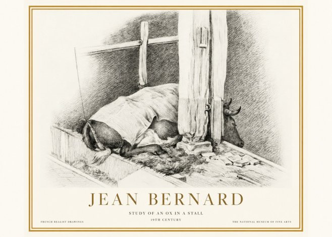 Jean Bernard The Resting Ox No5 - Poszter