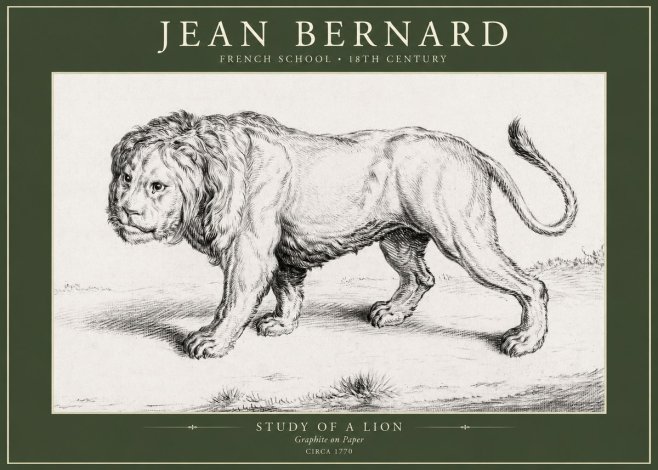 Jean Bernard Study of a Lion II No5 - Poszter