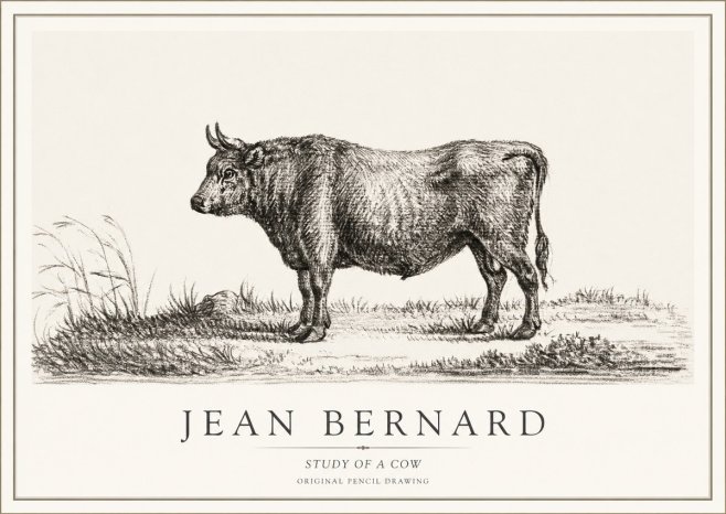 Jean Bernard Study of a Cow XIII No1 - Poszter