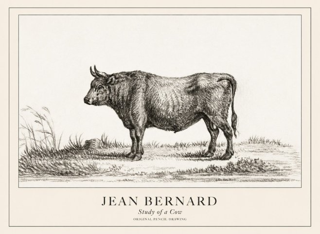 Jean Bernard Study of a Cow XIII No3 - Poszter