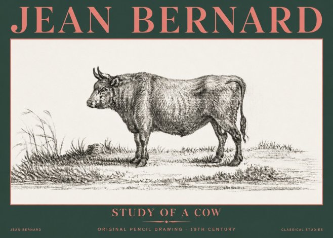 Jean Bernard Study of a Cow XIII No5 - Poszter