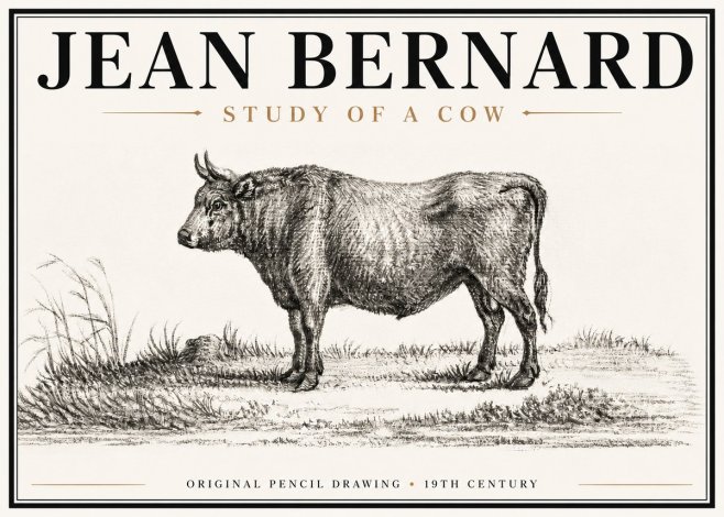 Jean Bernard Study of a Cow XIII No6 - Poszter