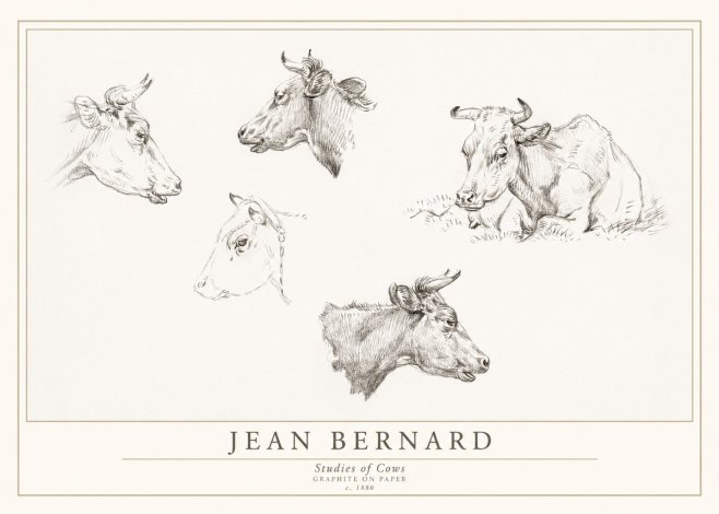Jean Bernard Studies of Cows I No1 - Poszter