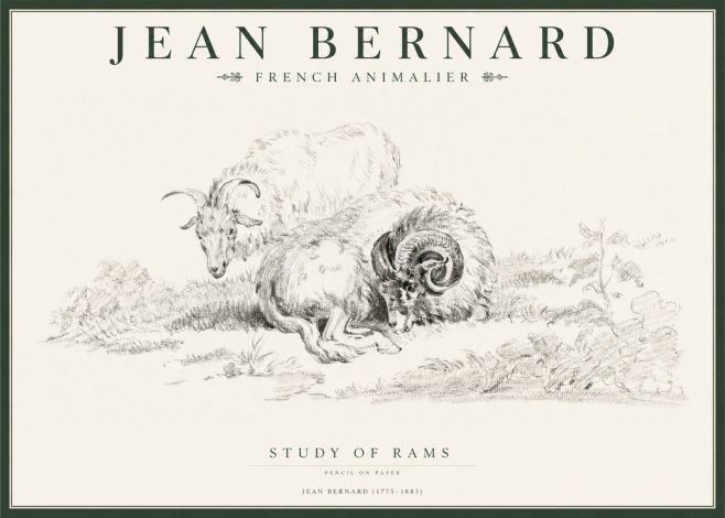 Jean Bernard Study of Sheep No2 - Poszter