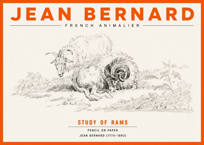 Jean Bernard Study of Sheep No3 - Poszter