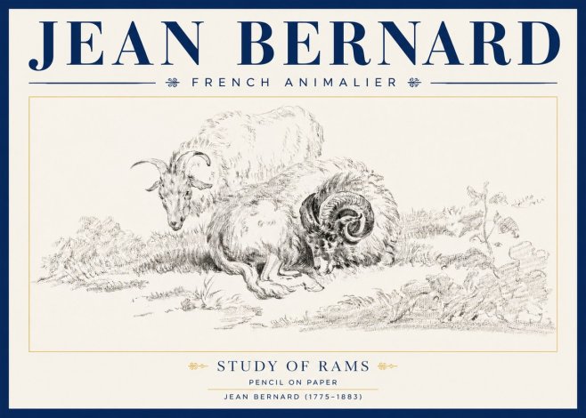Jean Bernard Study of Sheep No4 - Poszter