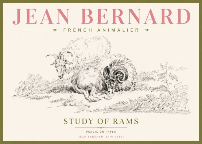 Jean Bernard Study of Sheep No5 - Poszter