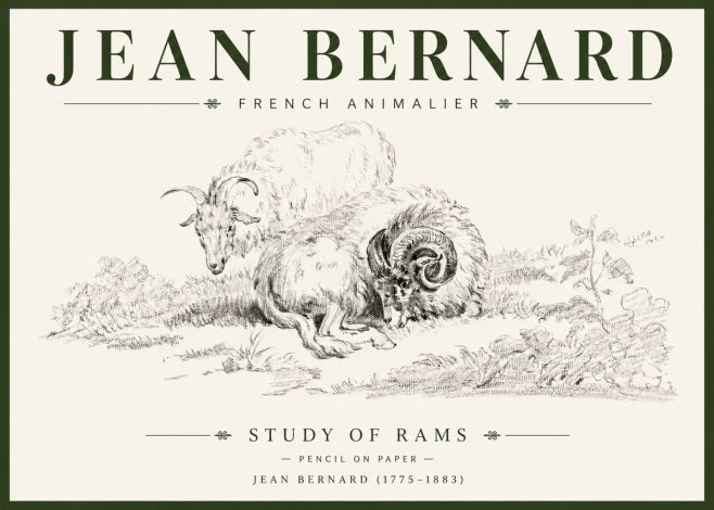 Jean Bernard Study of Sheep No6 - Poszter