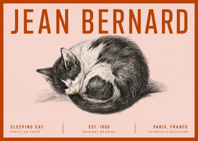 Jean Bernard Sleeping Cat VIII No5 - Poszter