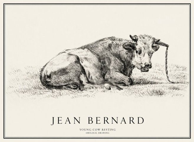 Jean Bernard Young Cow Resting No1 - Poszter