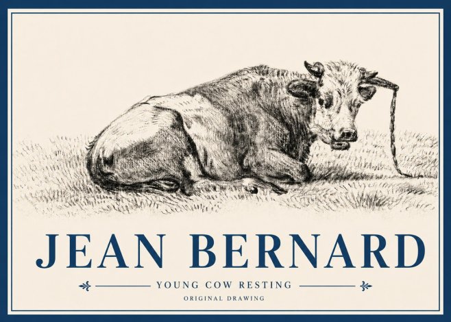 Jean Bernard Young Cow Resting No4 - Poszter