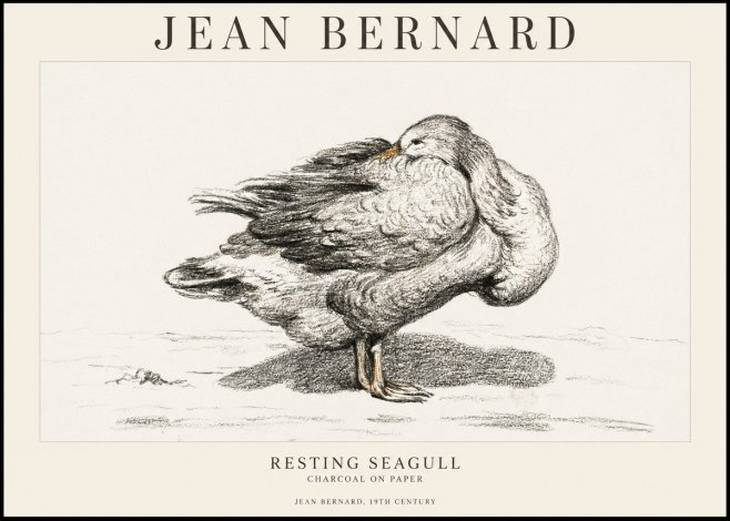 Jean Bernard Resting Seagull No1 - Poszter
