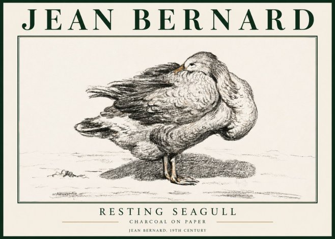 Jean Bernard Resting Seagull No3 - Poszter