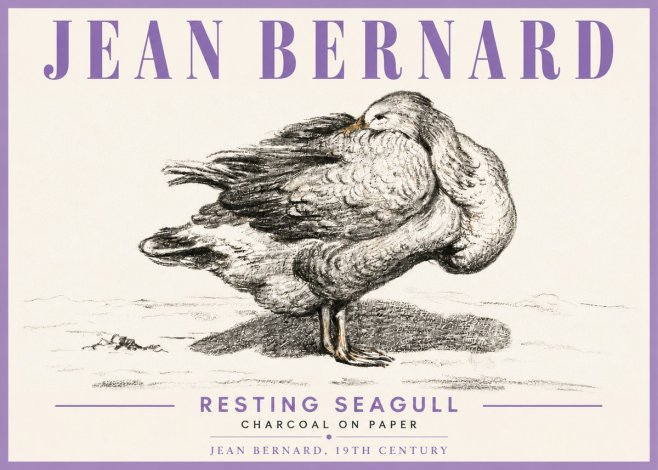 Jean Bernard Resting Seagull No6 - Poszter