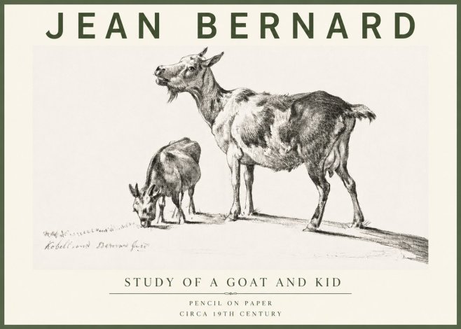 Jean Bernard Study of a Goat and Kid No4 - Poszter