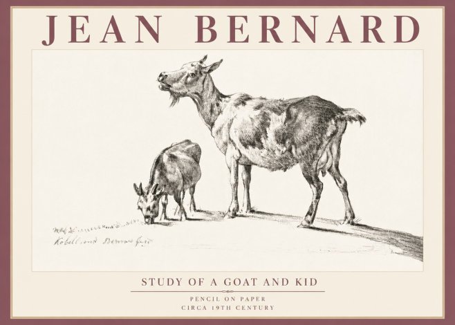 Jean Bernard Study of a Goat and Kid No5 - Poszter