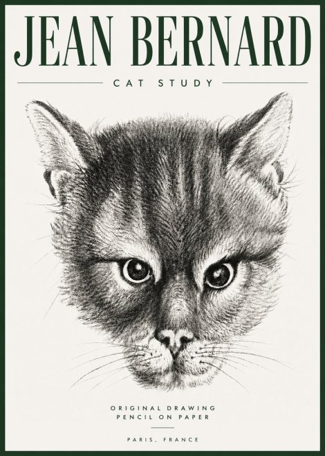 Jean Bernard Cat Study. Original Drawing No5 - Poszter
