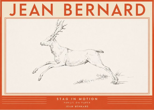 Jean Bernard Stag in Motion No2 - Poszter