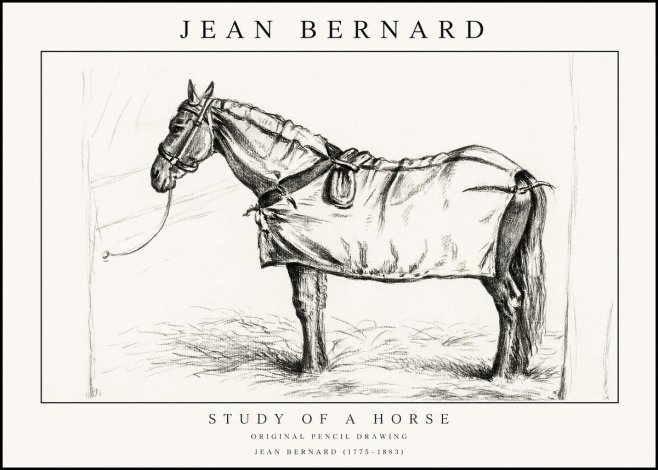 Jean Bernard Study of a Horse XI No1 - Poszter