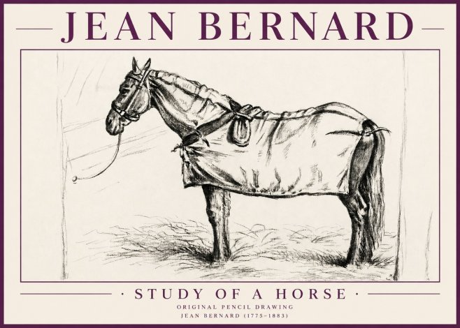 Jean Bernard Study of a Horse XI No4 - Poszter