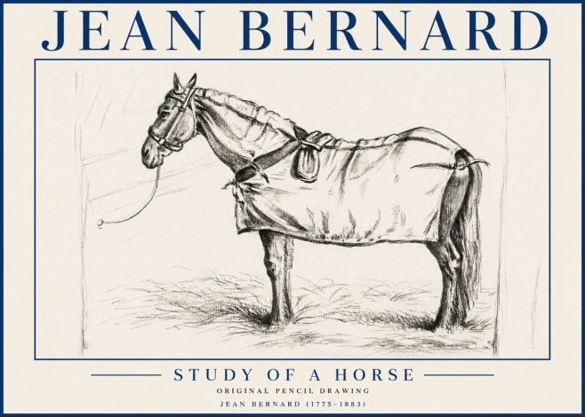 Jean Bernard Study of a Horse XI No5 - Poszter