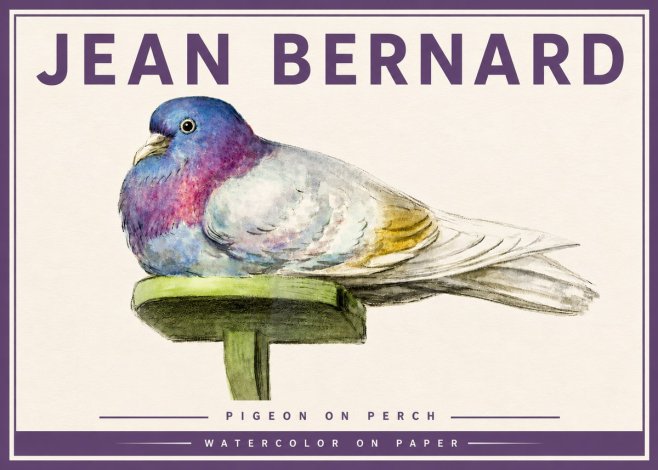 Jean Bernard Pigeon on Perch No4 - Poszter