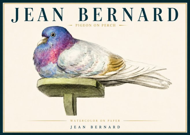Jean Bernard Pigeon on Perch No5 - Poszter