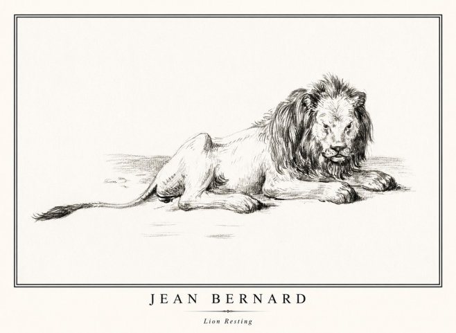 Jean Bernard Lion Resting No1 - Poszter