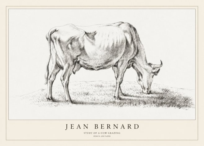 Jean Bernard Study of a Cow Grazing II No1 - Poszter