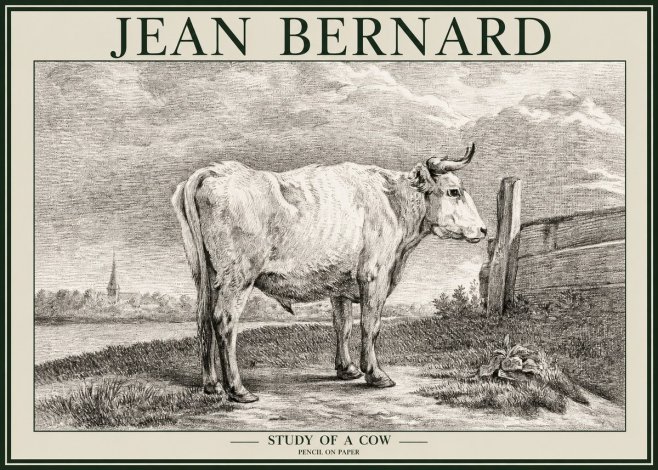 Jean Bernard Study of a Cow XV No2 - Poszter