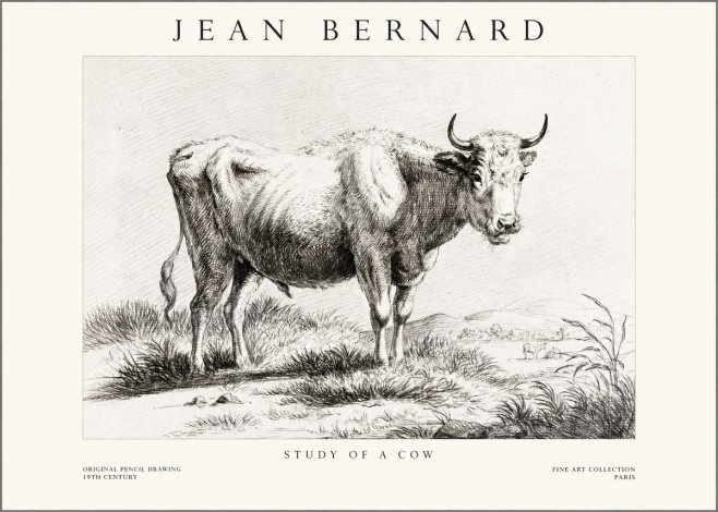 Jean Bernard Study of a Cow XVI No1 - Poszter